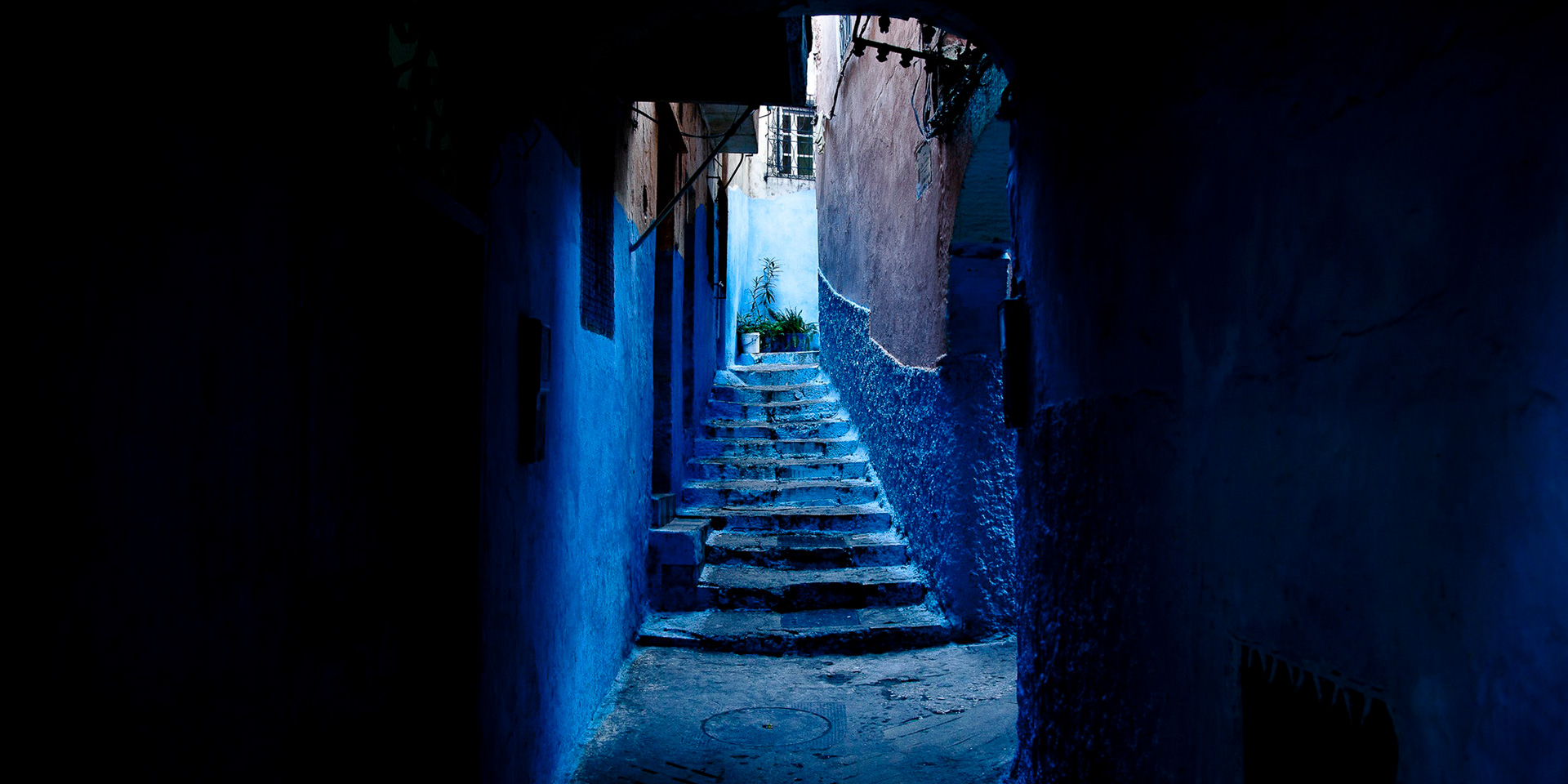 Boutique Travel – photo by Chris Lao on Unsplash